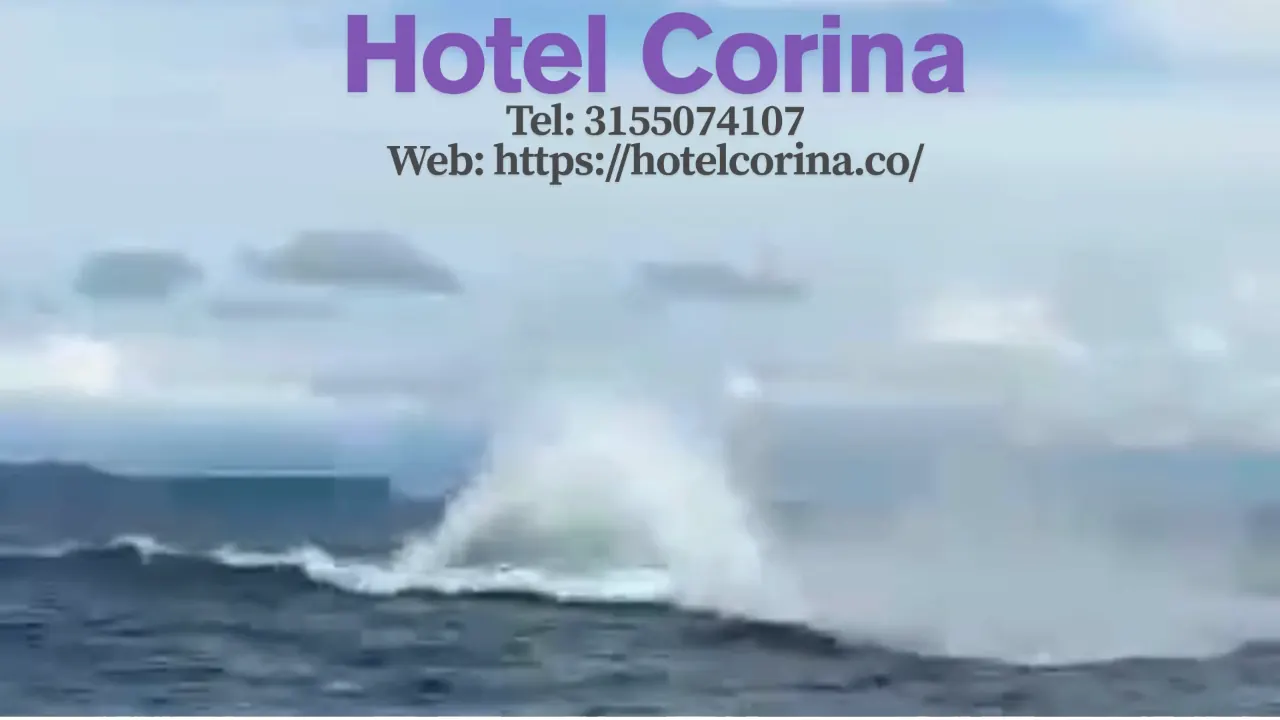 Ballena jorobada en Bahía Málaga